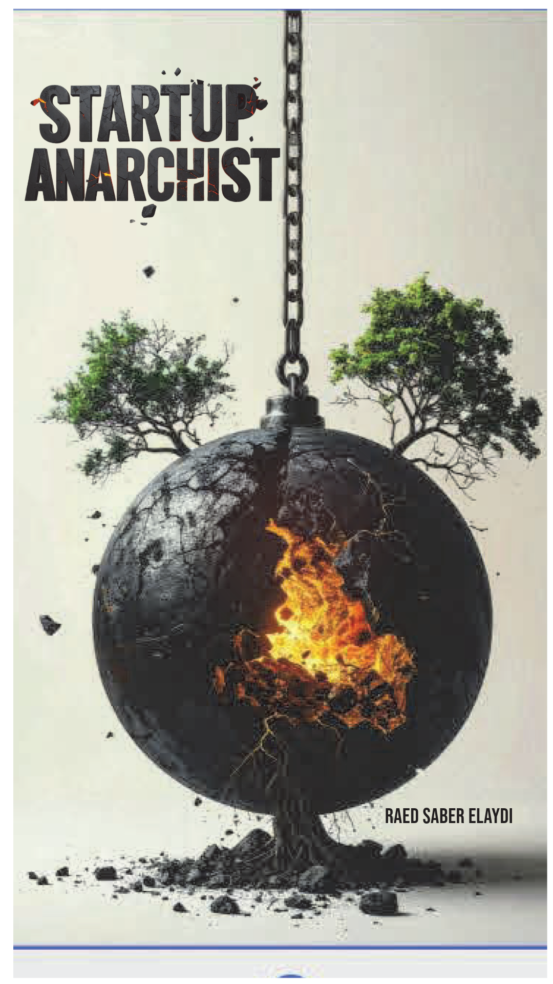 Startup Anarchist